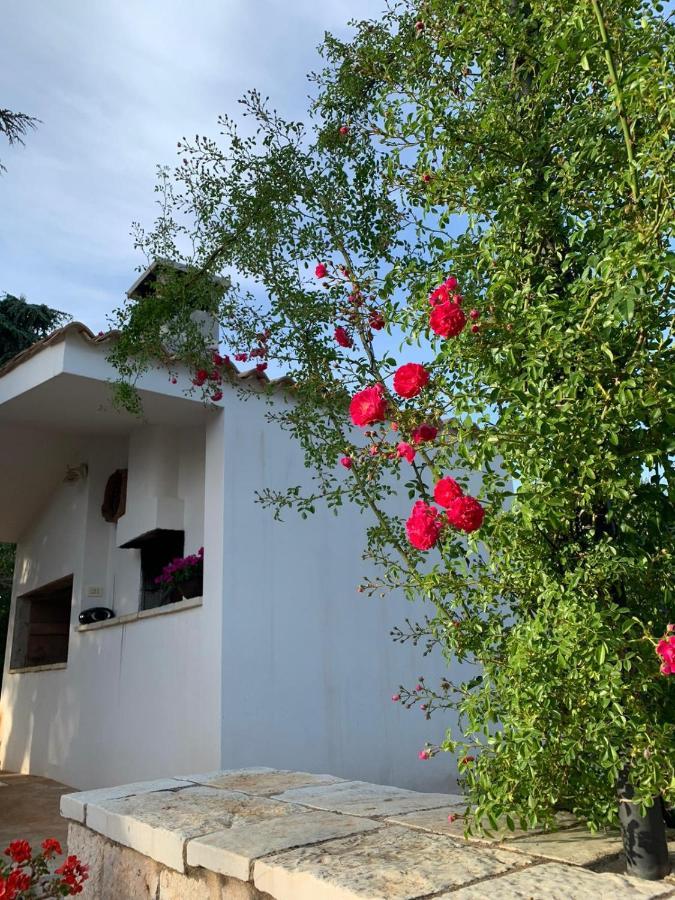 Il Trullo Di Francesca Villa เชจลีเมสซาปิกา ภายนอก รูปภาพ